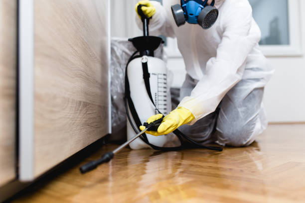 Best Wasp Removal Services  in Sanibel, FL