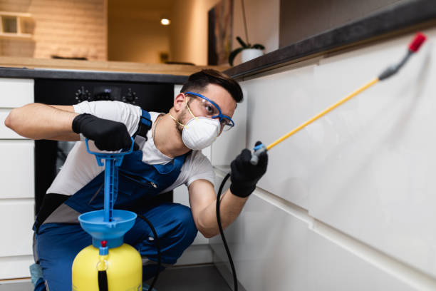 Best Best Pest Control Companies  in Sanibel, FL